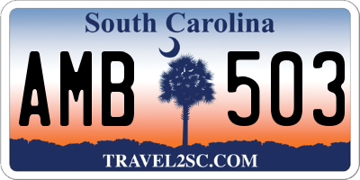 SC license plate AMB503