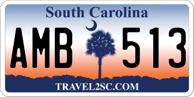 SC license plate AMB513