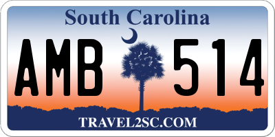 SC license plate AMB514