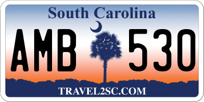 SC license plate AMB530
