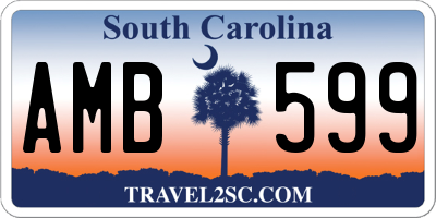 SC license plate AMB599