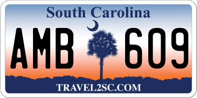 SC license plate AMB609