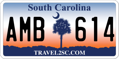 SC license plate AMB614