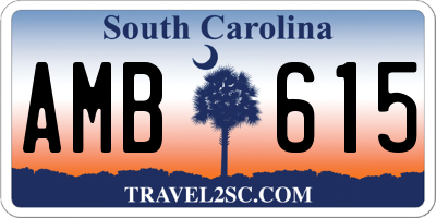 SC license plate AMB615