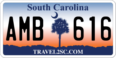 SC license plate AMB616