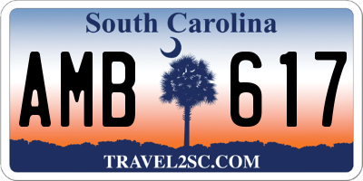 SC license plate AMB617