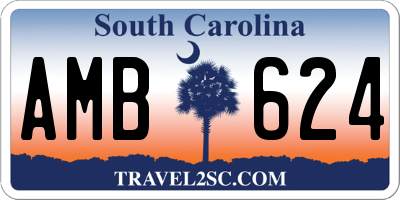 SC license plate AMB624