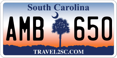SC license plate AMB650