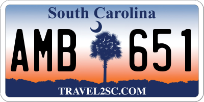 SC license plate AMB651
