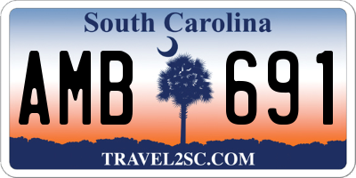 SC license plate AMB691