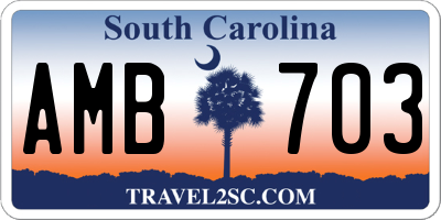 SC license plate AMB703
