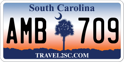 SC license plate AMB709