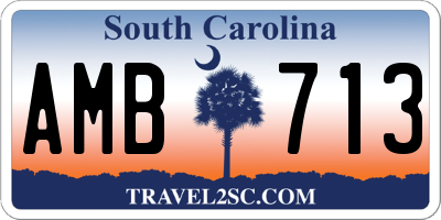 SC license plate AMB713