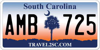 SC license plate AMB725