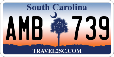 SC license plate AMB739