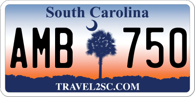 SC license plate AMB750