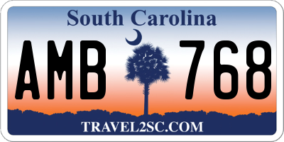 SC license plate AMB768