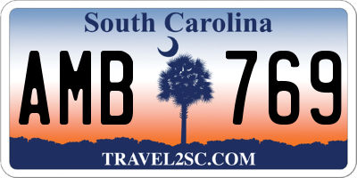 SC license plate AMB769