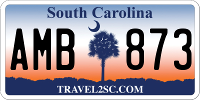 SC license plate AMB873