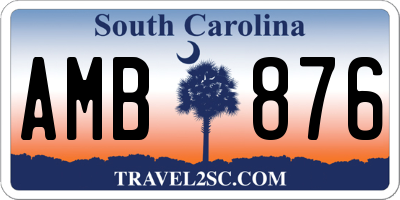 SC license plate AMB876