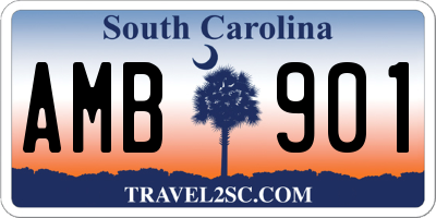 SC license plate AMB901