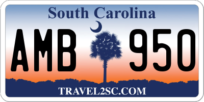SC license plate AMB950