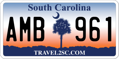 SC license plate AMB961