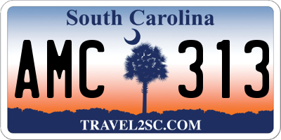SC license plate AMC313