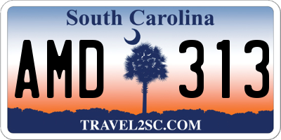 SC license plate AMD313