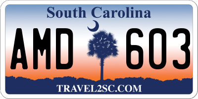 SC license plate AMD603