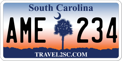 SC license plate AME234