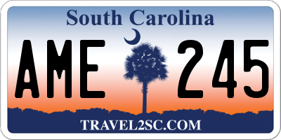 SC license plate AME245