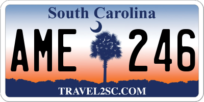 SC license plate AME246