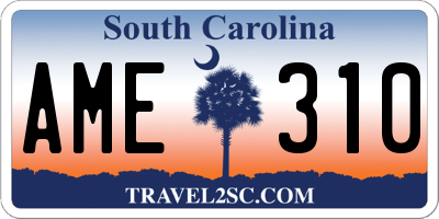 SC license plate AME310
