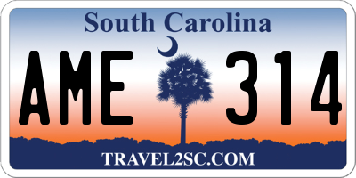 SC license plate AME314