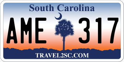 SC license plate AME317