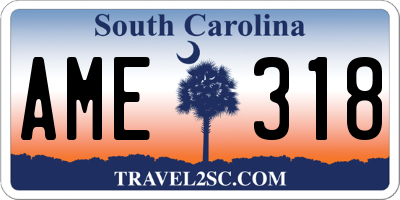 SC license plate AME318