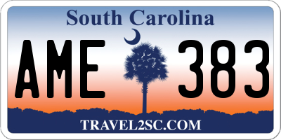 SC license plate AME383