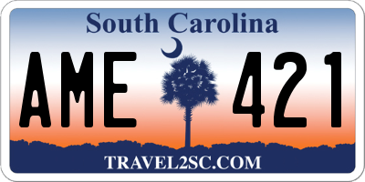 SC license plate AME421
