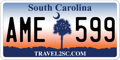 SC license plate AME599