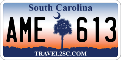 SC license plate AME613