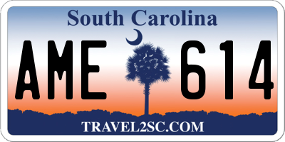 SC license plate AME614