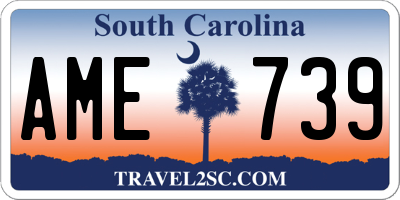 SC license plate AME739