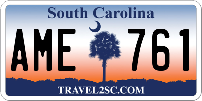SC license plate AME761
