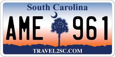 SC license plate AME961