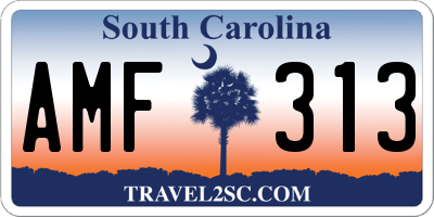 SC license plate AMF313