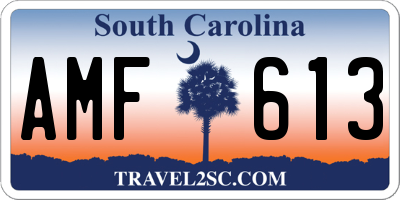 SC license plate AMF613