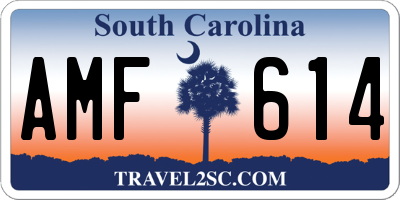 SC license plate AMF614