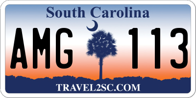 SC license plate AMG113