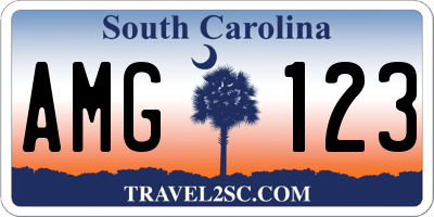 SC license plate AMG123